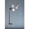 Fischer & Honsel Annecy Staande lamp Zwart, 5-lichts