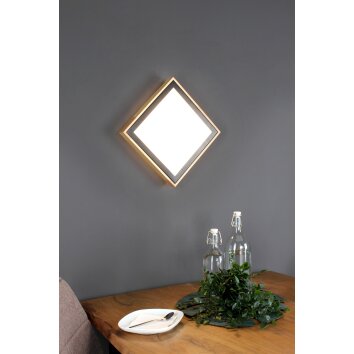 Luce Design SOLSTAR Muurlamp LED Natuurlijke kleuren, Zwart, 1-licht