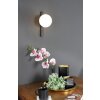 Luce Design PLUTO Muurlamp Zwart, 1-licht