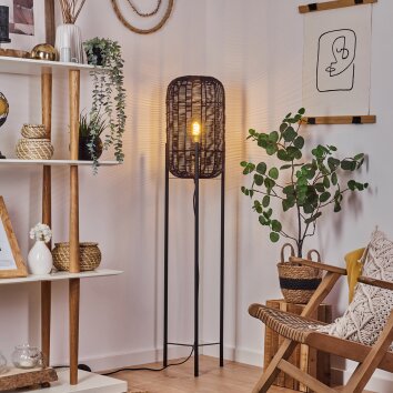 Zaracure Staande lamp Zwart, 1-licht