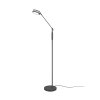 Trio Franklin Staande lamp LED Antraciet, 1-licht