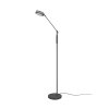 Trio Franklin Staande lamp LED Antraciet, 1-licht