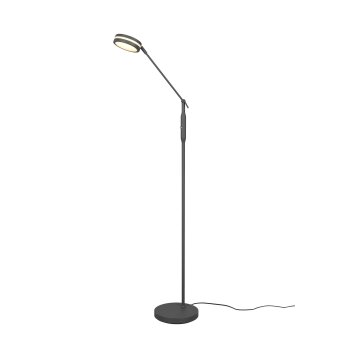 Trio Franklin Staande lamp LED Antraciet, 1-licht