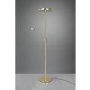 Trio Franklin Staande lamp LED Messing, 2-lichts