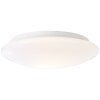 Brilliant Farly Buitenshuis plafond verlichting Wit, 1-licht