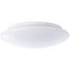 Brilliant Farly Buitenshuis plafond verlichting Wit, 1-licht