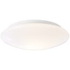 Brilliant Farly Buitenshuis plafond verlichting Wit, 1-licht