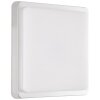 Brilliant Devora Buitenshuis plafond verlichting LED Zilver, 1-licht