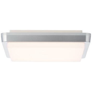 Brilliant Devora Buitenshuis plafond verlichting LED Zilver, 1-licht