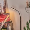 Haltia Staande lamp LED Zwart, 1-licht