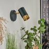 Campanas Muurlamp Groen, Messing, 1-licht