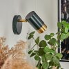 Campanas Muurlamp Groen, Messing, 1-licht