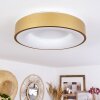 Playas Plafondlamp LED Goud, Wit, 1-licht