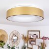 Playas Plafondlamp LED Goud, Wit, 1-licht