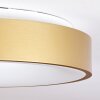 Playas Plafondlamp LED Goud, Wit, 1-licht