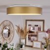 Playas Plafondlamp LED Goud, Wit, 1-licht