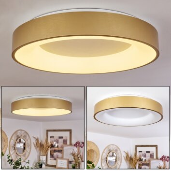 Playas Plafondlamp LED Goud, Wit, 1-licht