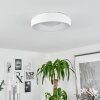 Playas Plafondlamp LED Wit, 1-licht