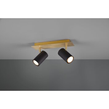 Trio MARLEY Plafondlamp Zwart-Goud, 2-lichts