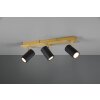 Trio MARLEY Plafondlamp Zwart-Goud, 3-lichts