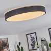 Samaira Plafondlamp LED Wit, 1-licht, Afstandsbediening