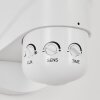 Langra Buiten muurverlichting LED Wit, 2-lichts, Bewegingsmelder