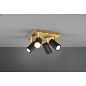 Trio MARLEY Plafondlamp Zwart-Goud, 4-lichts