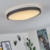 Kelva Plafondlamp LED Oud messing, Zwart, Wit, 1-licht