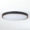 Kelva Plafondlamp LED Oud messing, Zwart, Wit, 1-licht