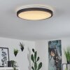 Kelva Plafondlamp LED Oud messing, Zwart, Wit, 1-licht