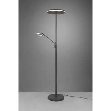 Trio Franklin Staande lamp LED Antraciet, 2-lichts