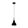 Eglo SABINAR Hanger Bruin, Zwart, 1-licht