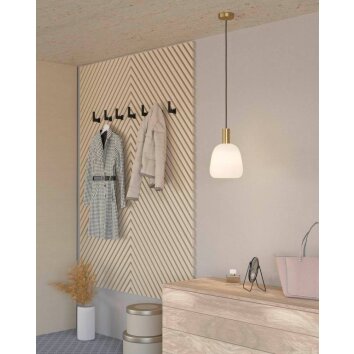 Eglo MANZANARES Hanger Goud, Messing, 1-licht