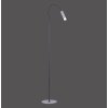 Paul Neuhaus PURE-GEMIN Staande lamp LED Aluminium, Zwart, 1-licht