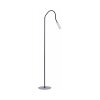 Paul Neuhaus PURE-GEMIN Staande lamp LED Aluminium, Zwart, 1-licht