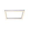 Paul Neuhaus PURE-LINES Plafondlamp LED Aluminium, 1-licht, Afstandsbediening