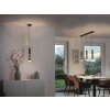 Paul Neuhaus PURE-VEGA Hanglamp LED Zwart, 9-lichts