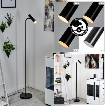 Dalheim Staande lamp LED Zwart, 1-licht