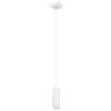 Globo ROBBY Hanger Wit, 1-licht