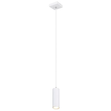 Globo ROBBY Hanger Wit, 1-licht