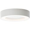 Brillliant Whittaker Buitenshuis plafond verlichting LED Wit, 1-licht