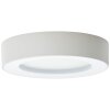 Brillliant Whittaker Buitenshuis plafond verlichting LED Wit, 1-licht