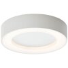 Brillliant Whittaker Buitenshuis plafond verlichting LED Wit, 1-licht