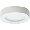 Brillliant Whittaker Buitenshuis plafond verlichting LED Wit, 1-licht