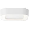 Brillliant Whittaker Buitenshuis plafond verlichting LED Wit, 1-licht