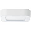 Brillliant Whittaker Buitenshuis plafond verlichting LED Wit, 1-licht