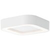 Brillliant Whittaker Buitenshuis plafond verlichting LED Wit, 1-licht