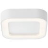 Brillliant Whittaker Buitenshuis plafond verlichting LED Wit, 1-licht