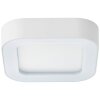 Brillliant Whittaker Buitenshuis plafond verlichting LED Wit, 1-licht