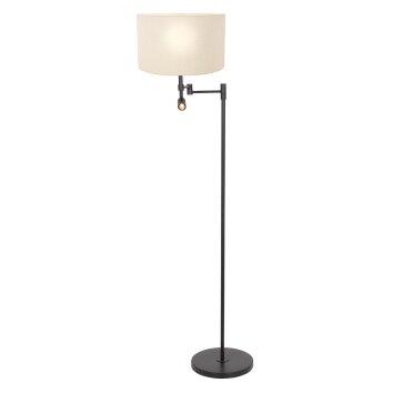 Steinhauer Stang Staande lamp LED Zwart, 2-lichts